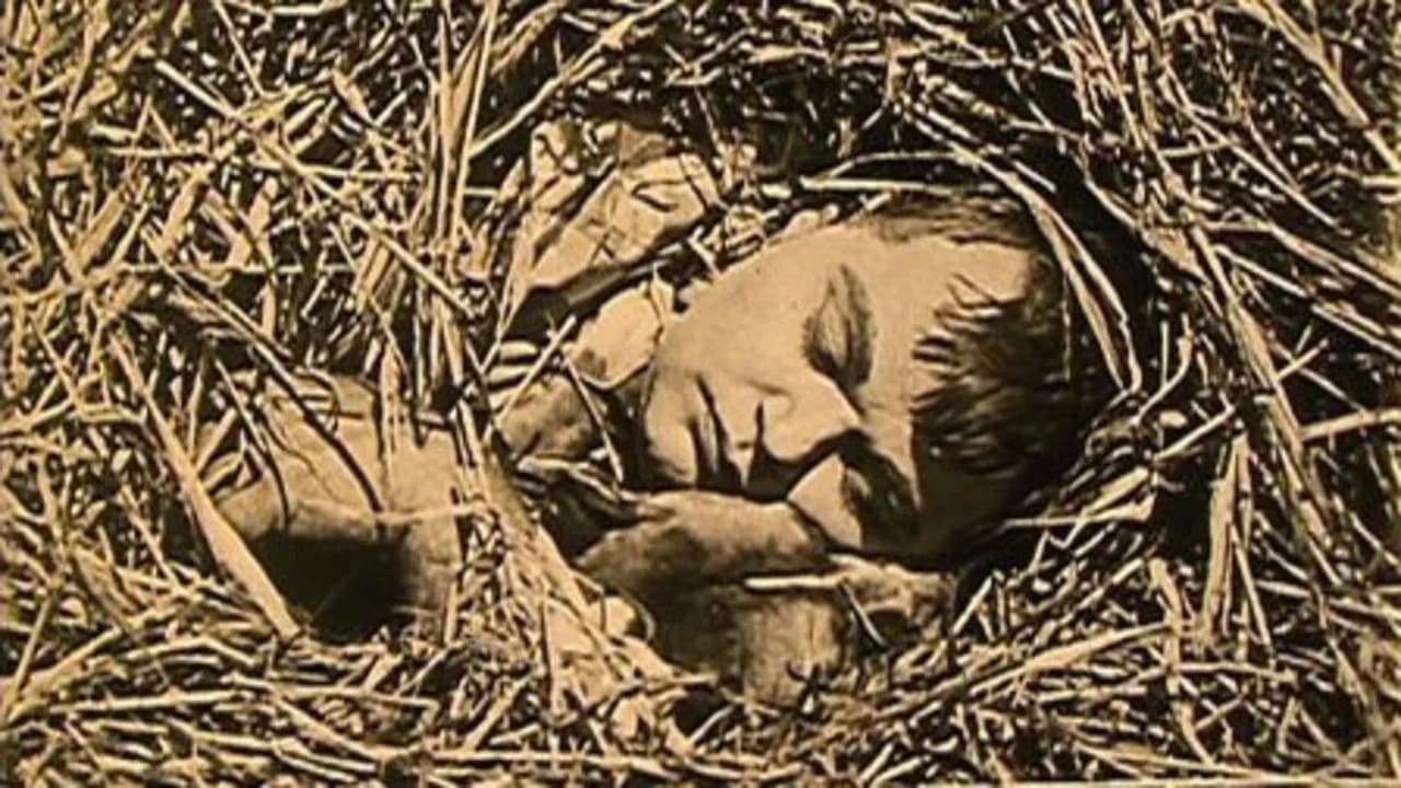 The Hayseed