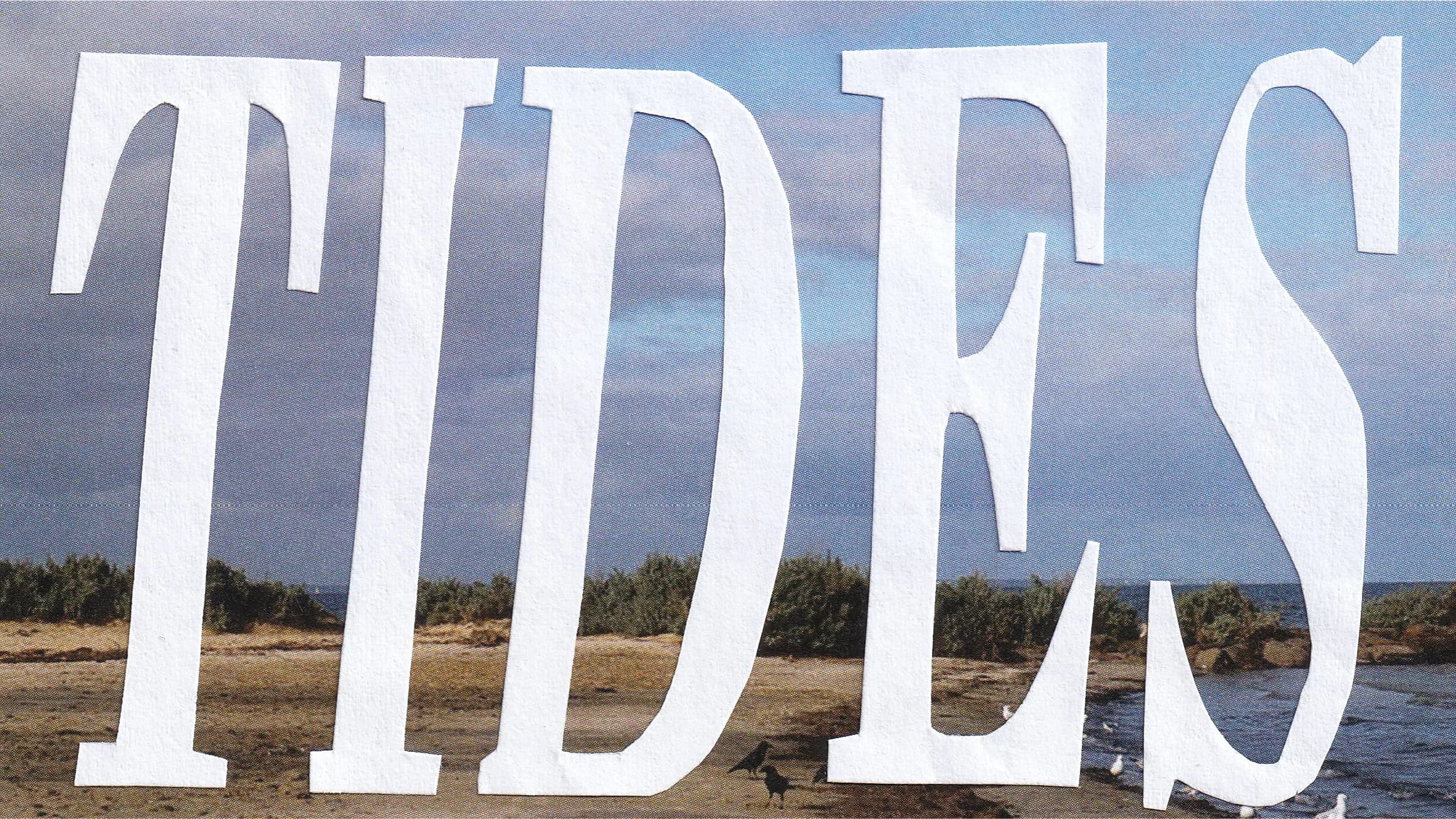 TIDES