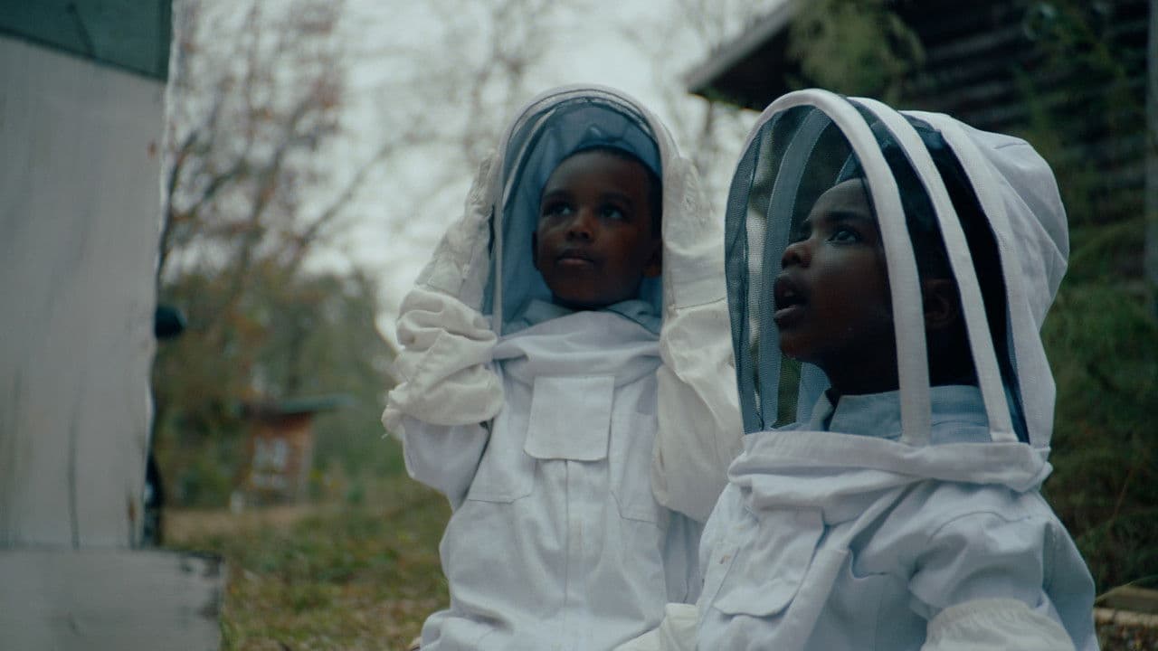 The Boys and the Bees