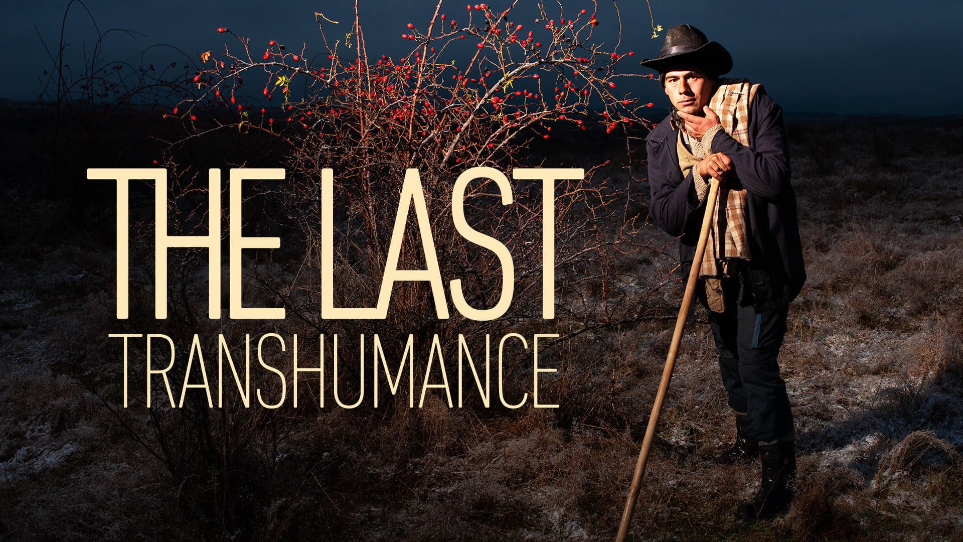 The Last Transhumance