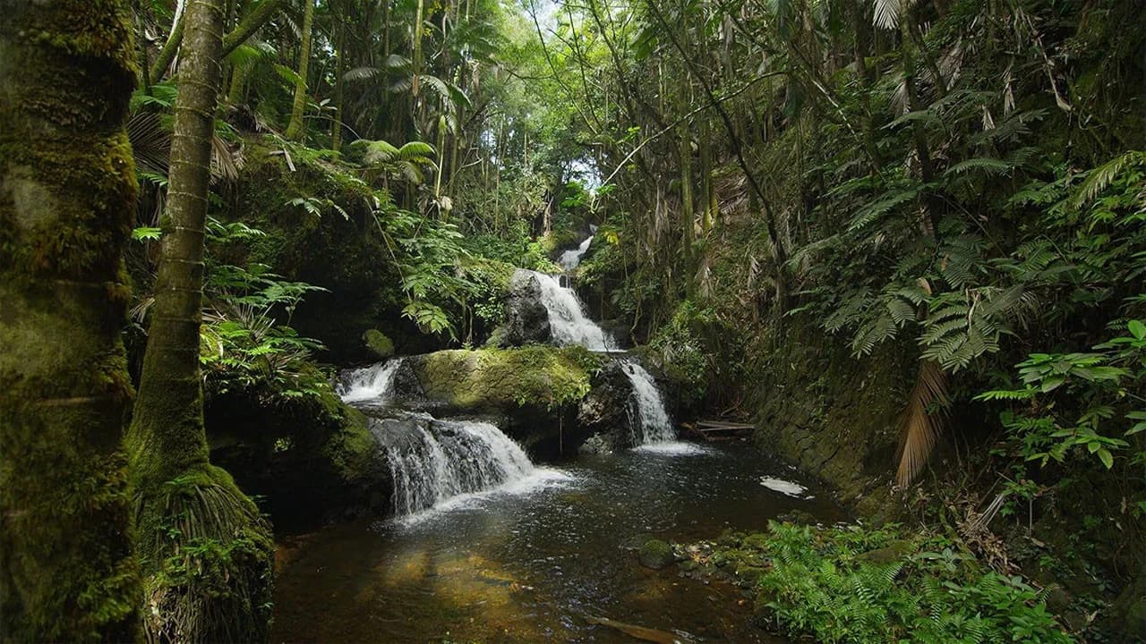 Hawaii