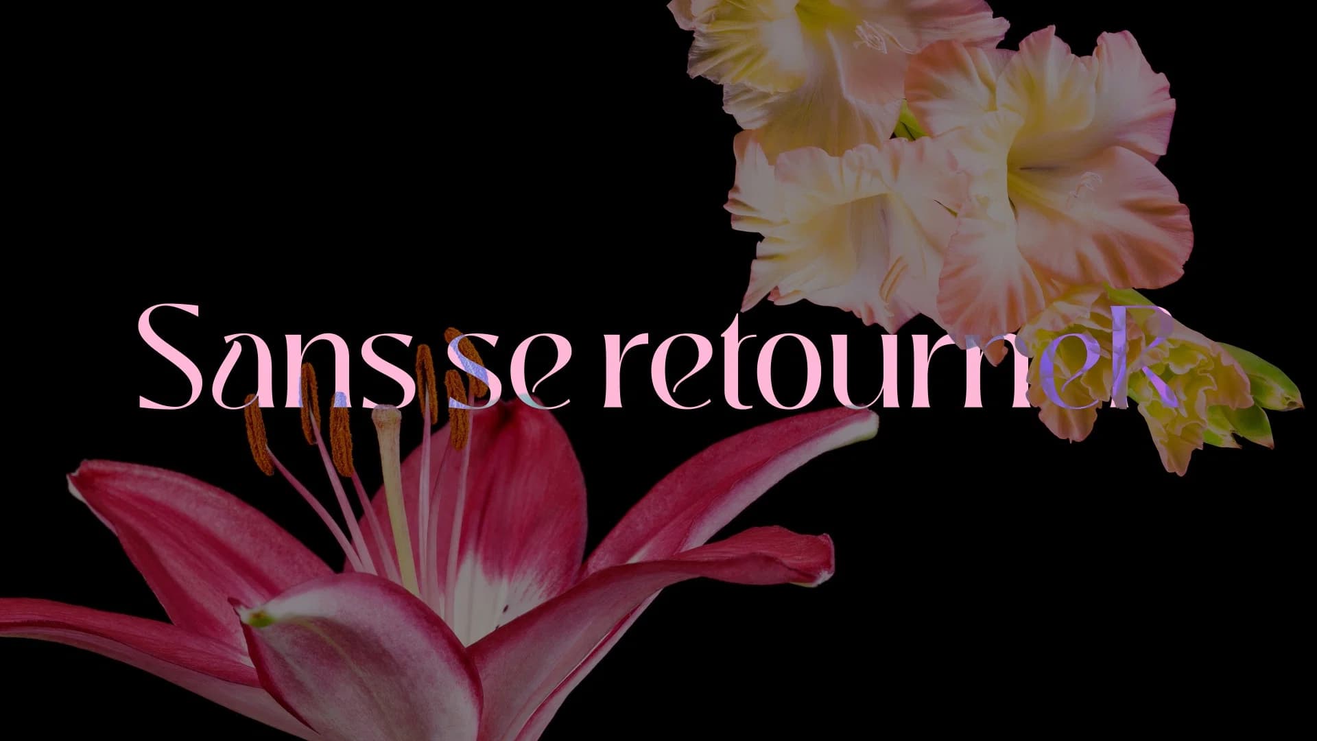 Sans se retourneR