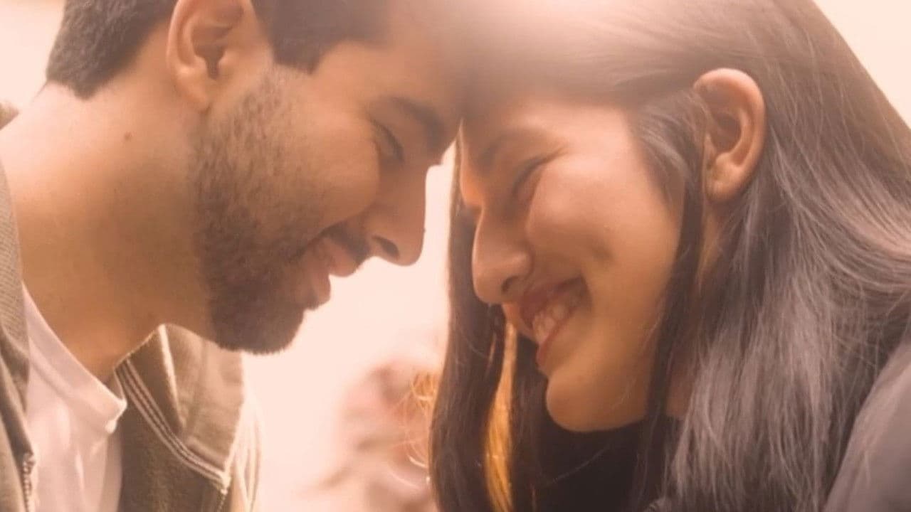 Una Polera Con Recuerdos