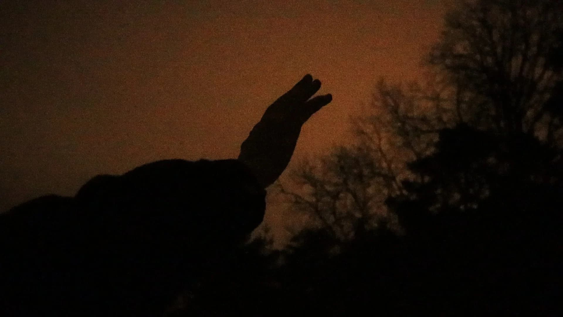 Ägg