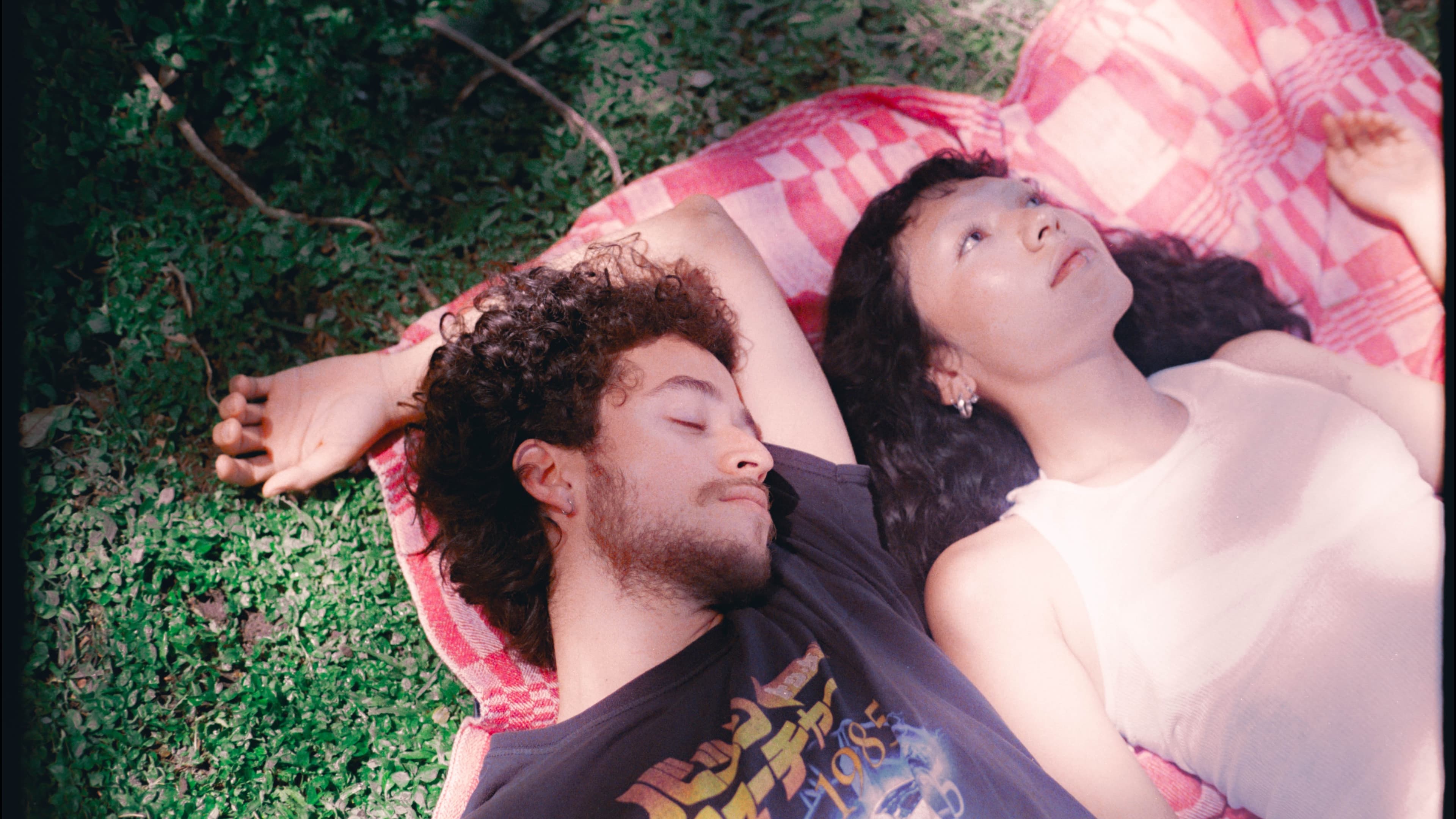 Valley of Hammocks