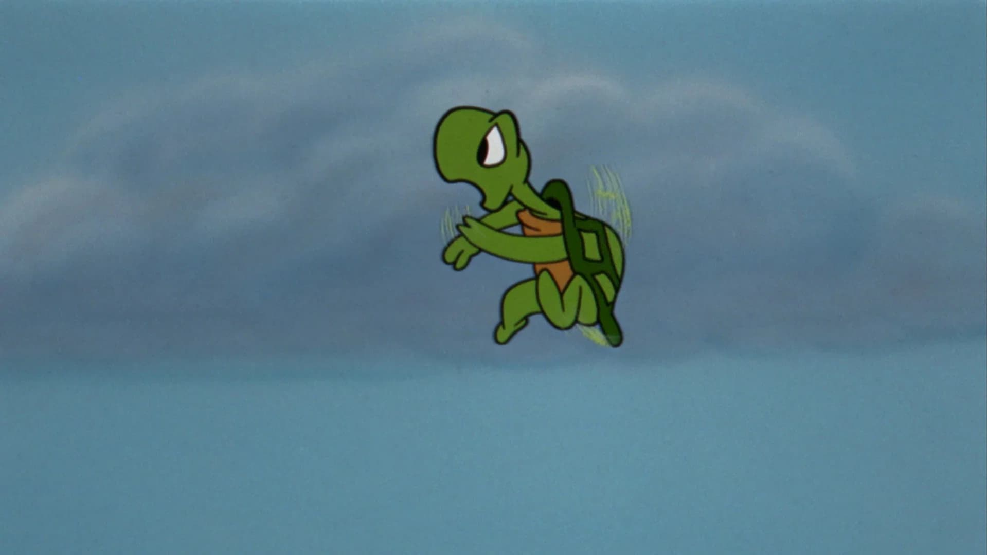 The Flying Turtle