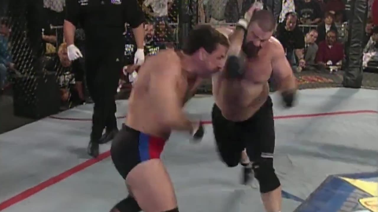 UFC 11.5: Ultimate Ultimate 2