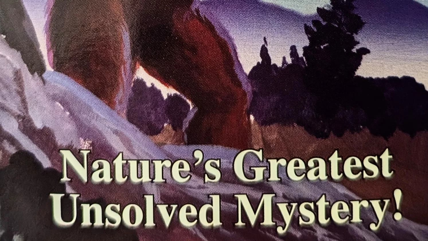 The Hunt for Bigfoot