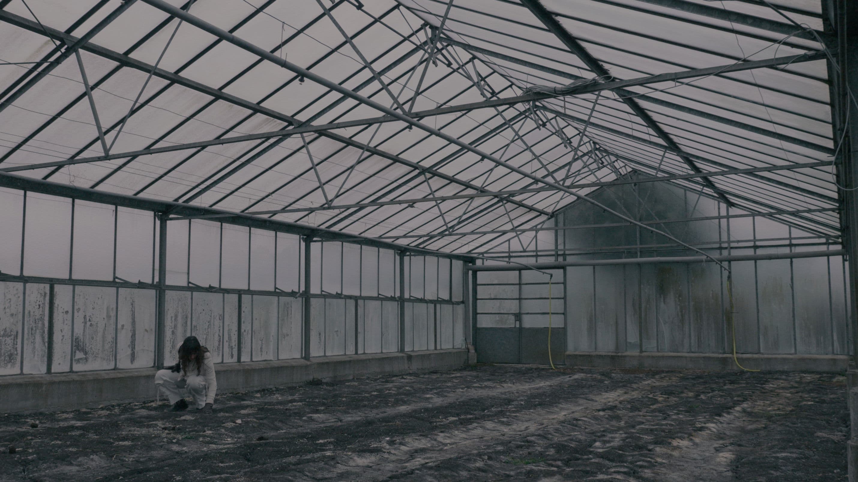 BLOOM - A Dystopian Short Film