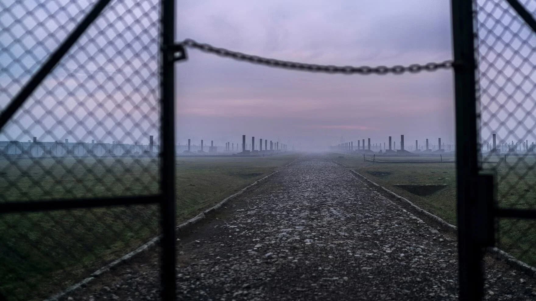 Auschwitz: Countdown to Liberation