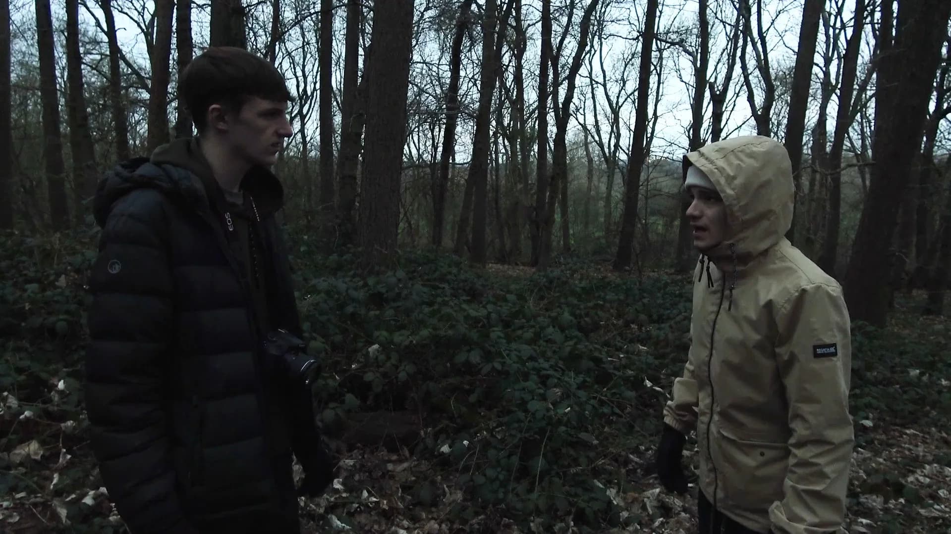 The Woods That Wail