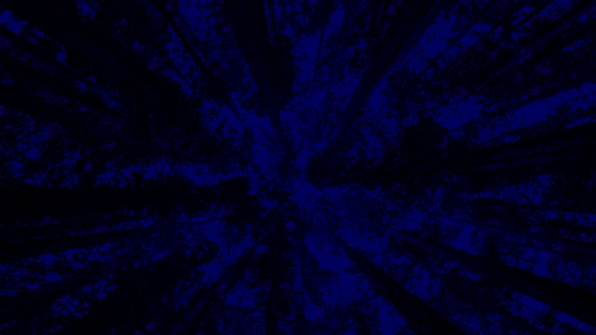 New York City Opera: A Little Night Music