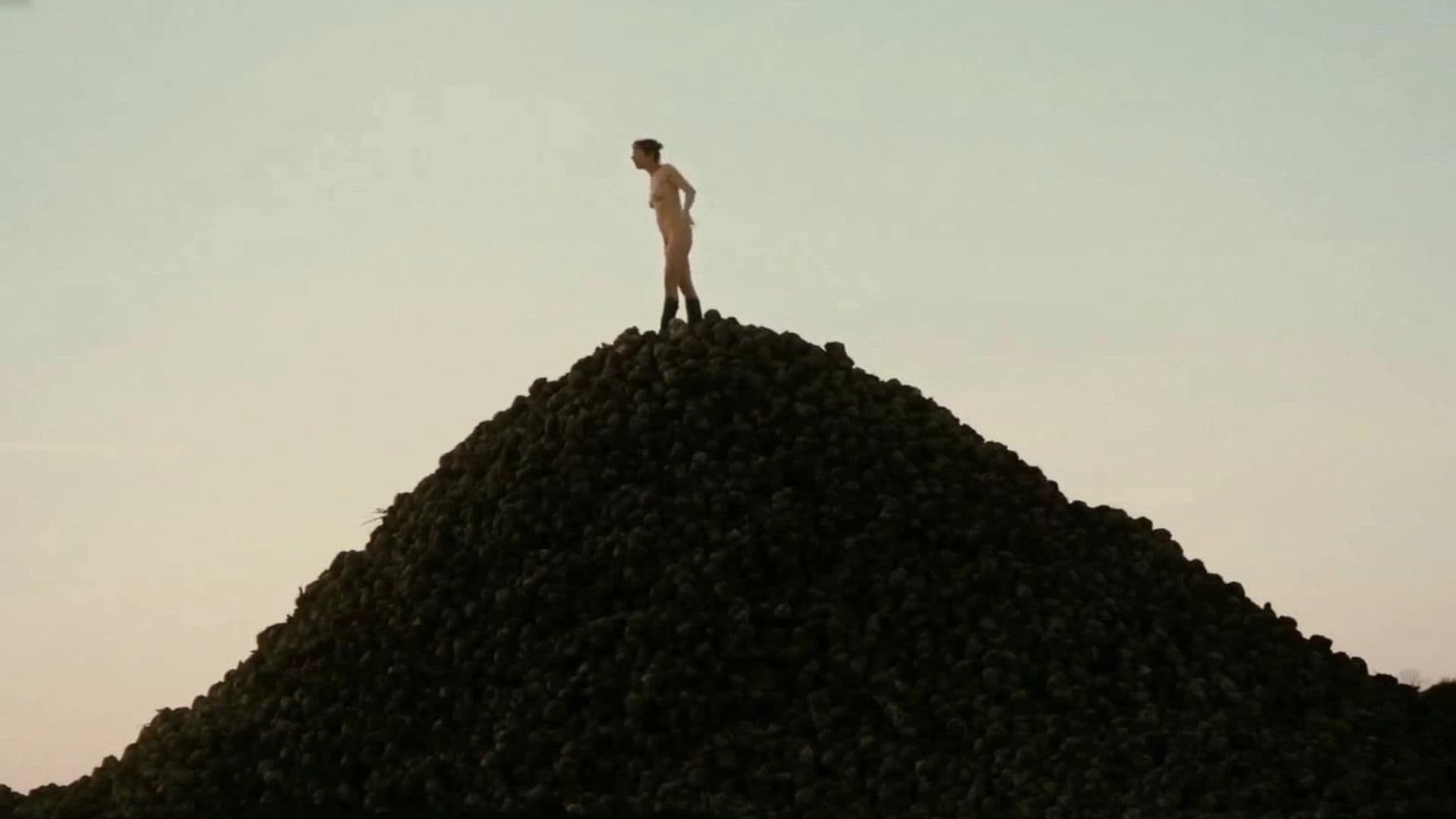 Forward, Calm and Straight