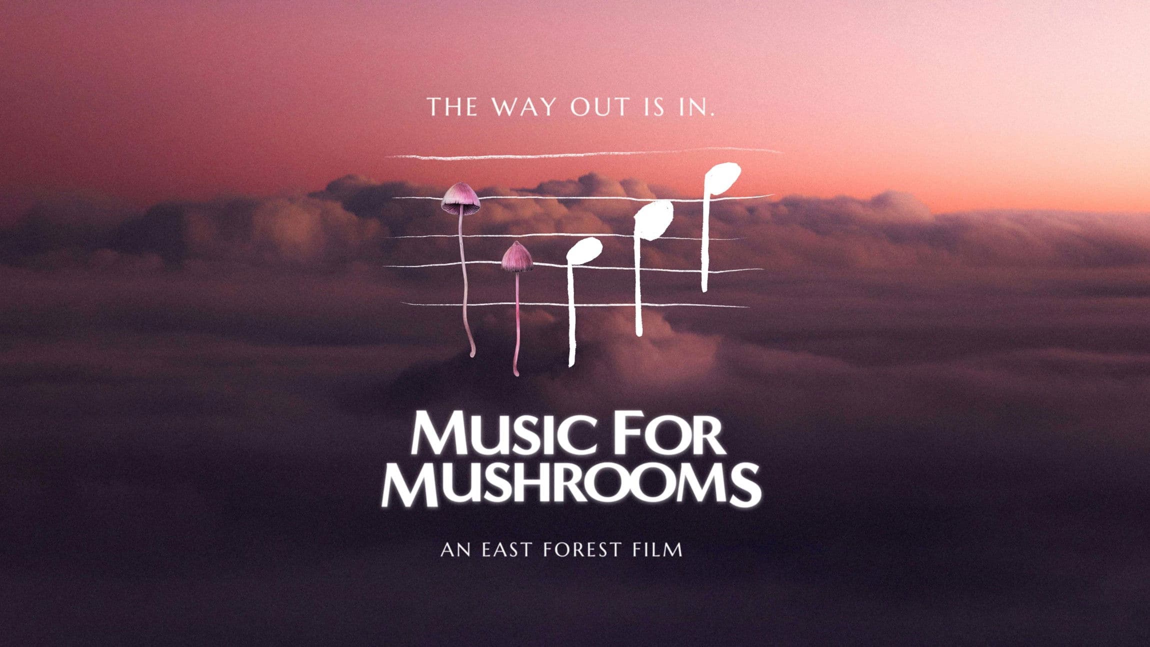 Music for Mushrooms