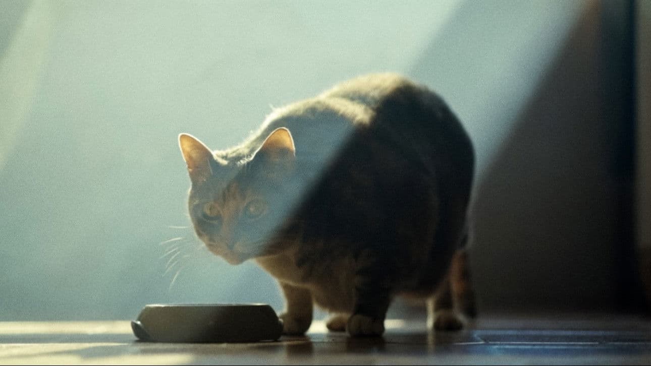 The Doors of Perception