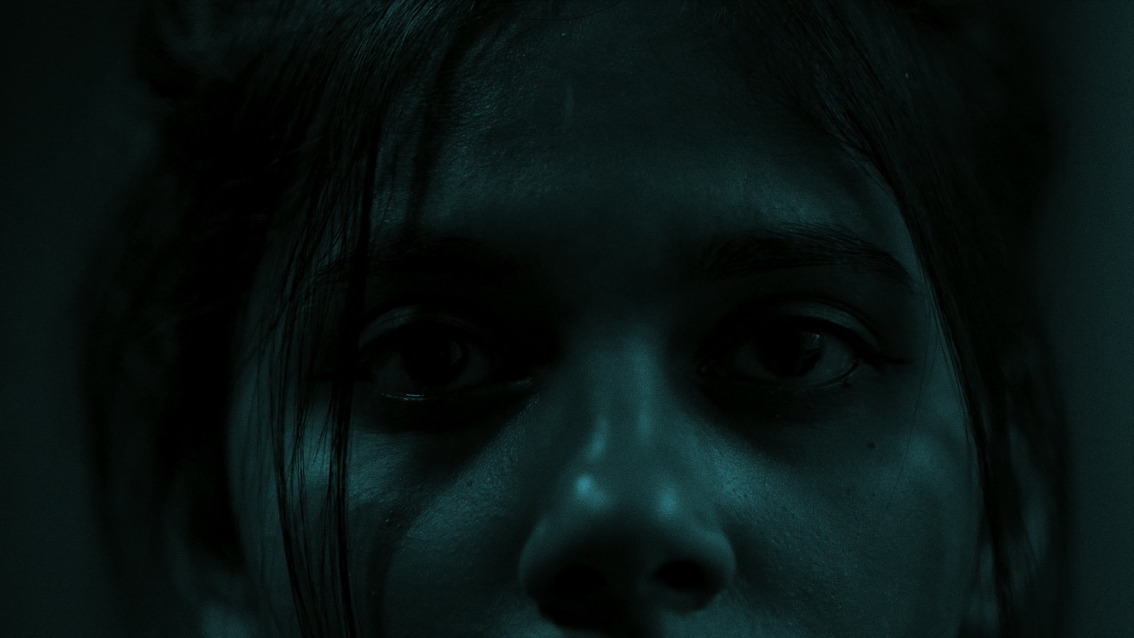 The Night of The Killer