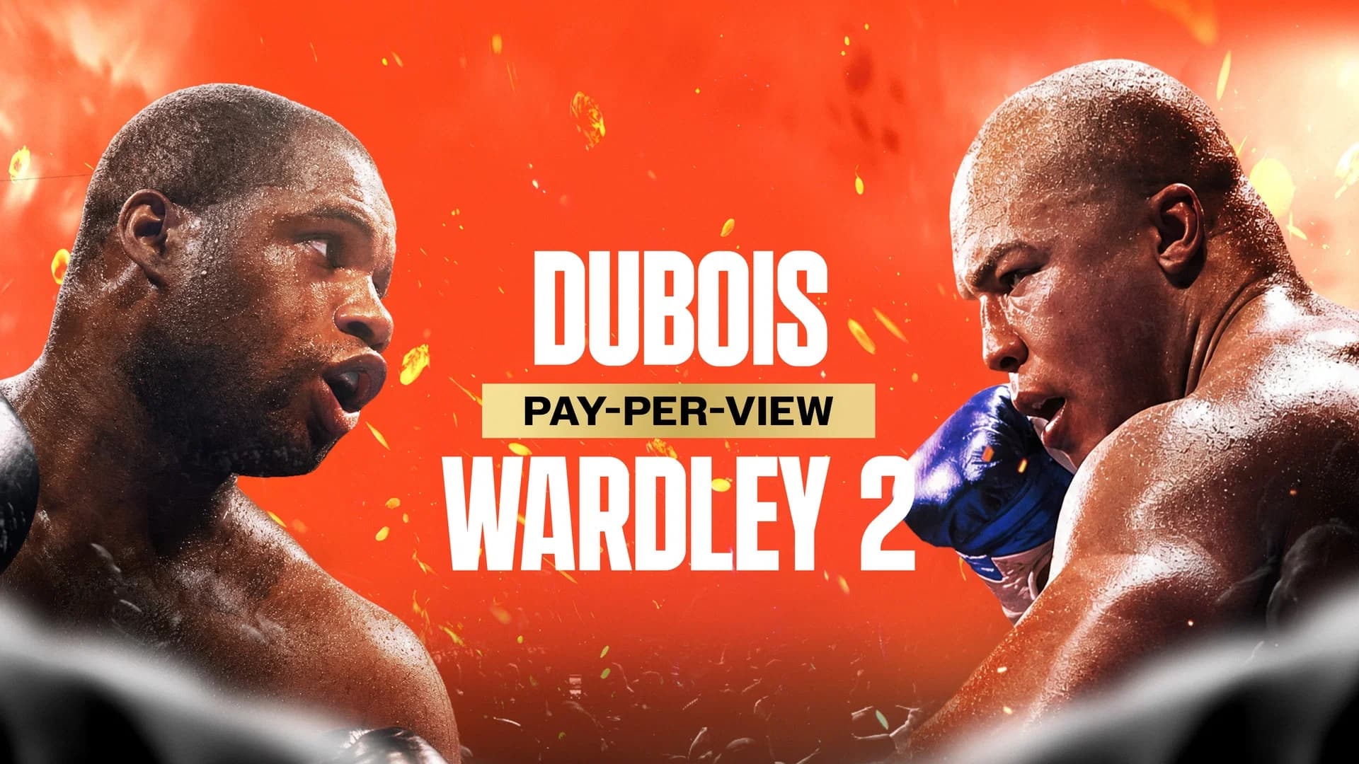 Daniel Dubois vs. Fabio Wardley II