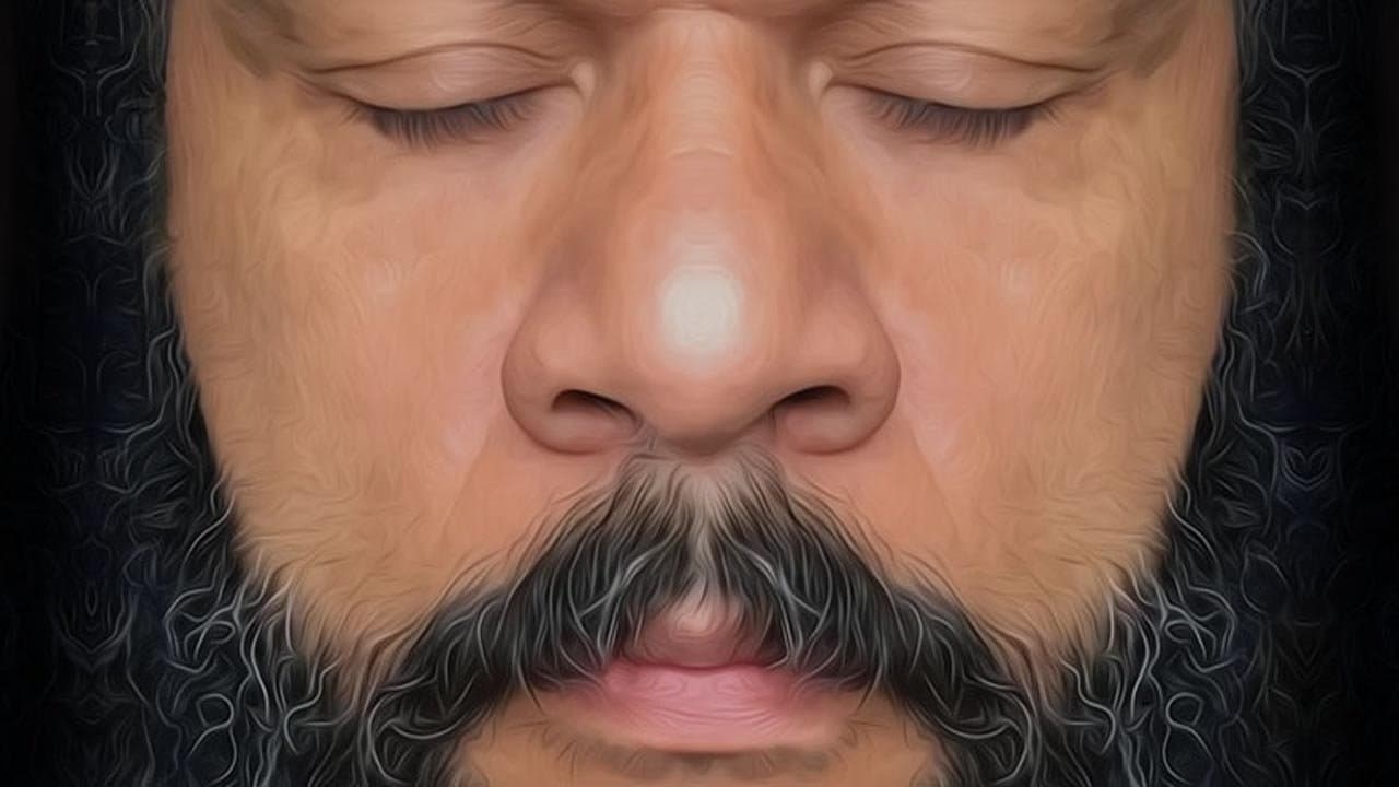 Dieudonné - En vérité