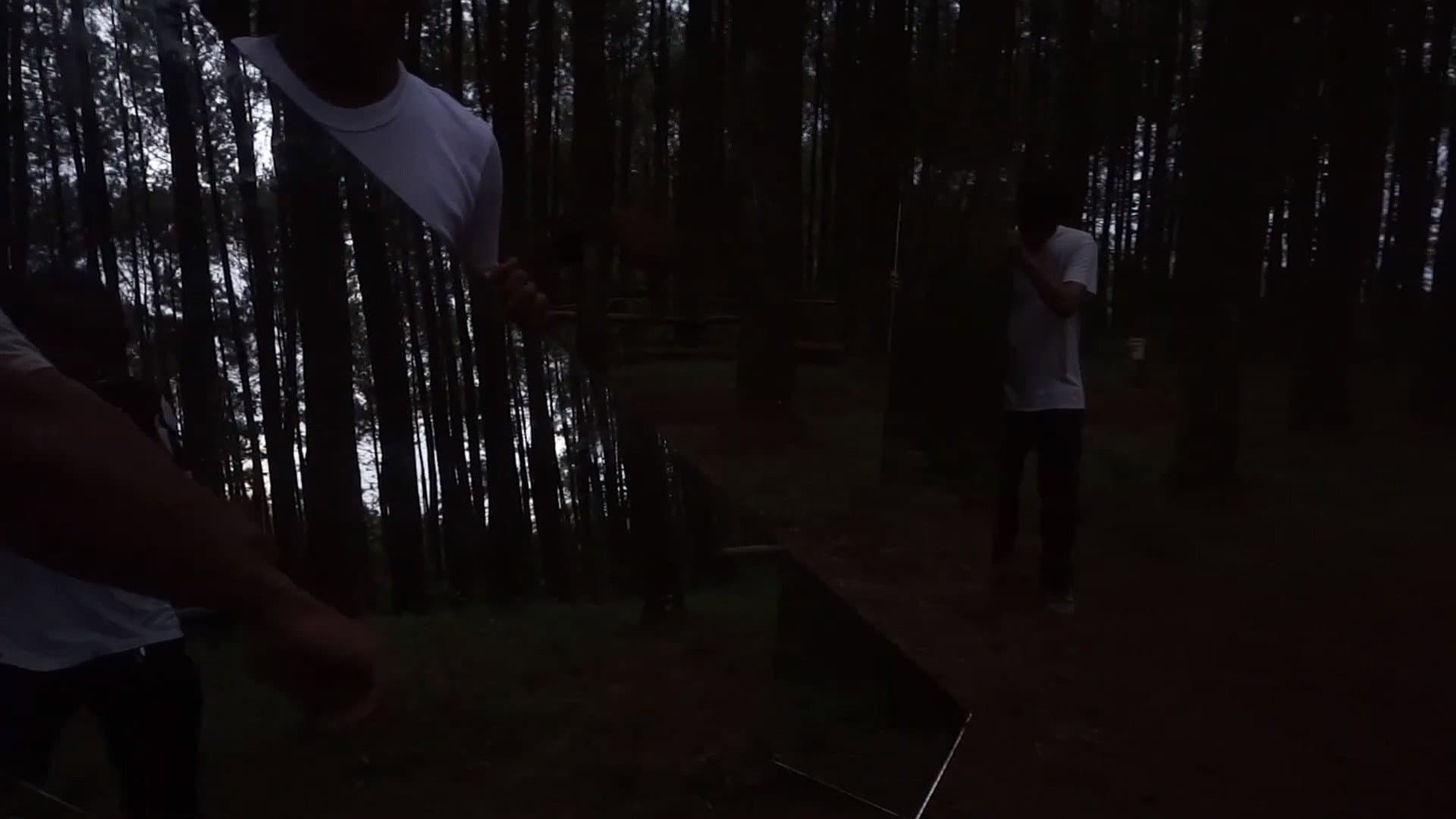 In The Pines