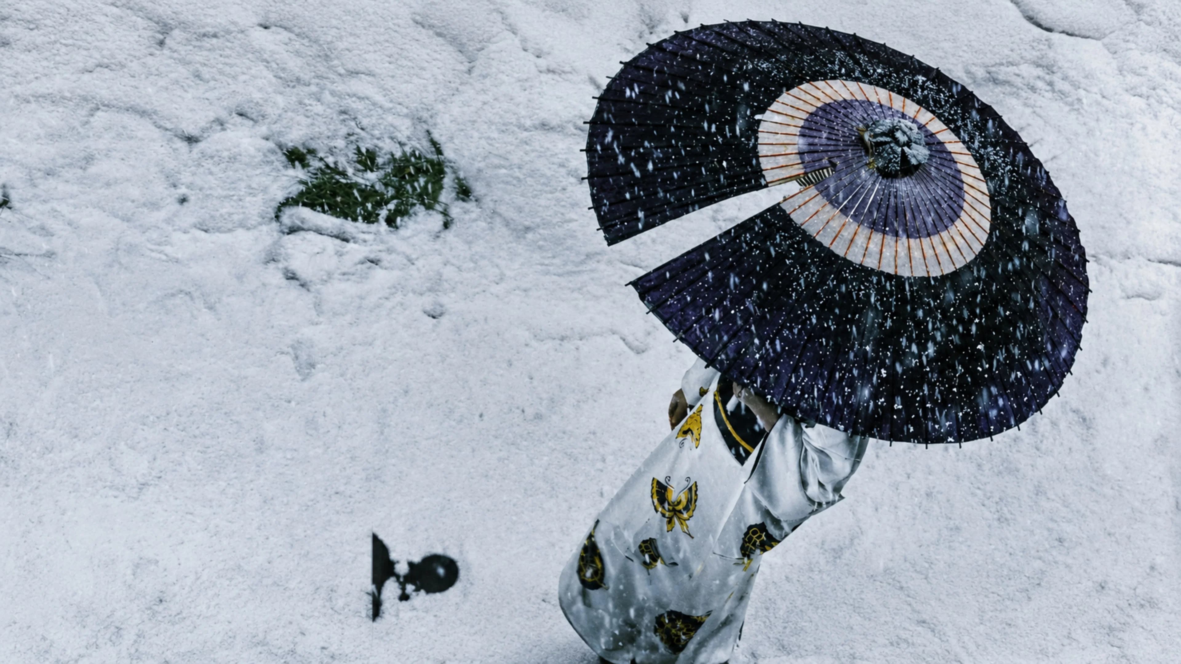 Lady Snowblood