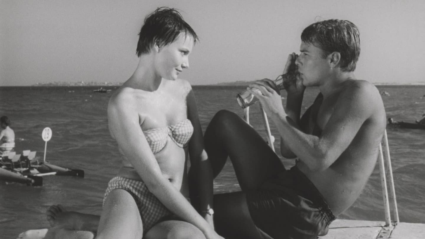 The Sun and the Shadow