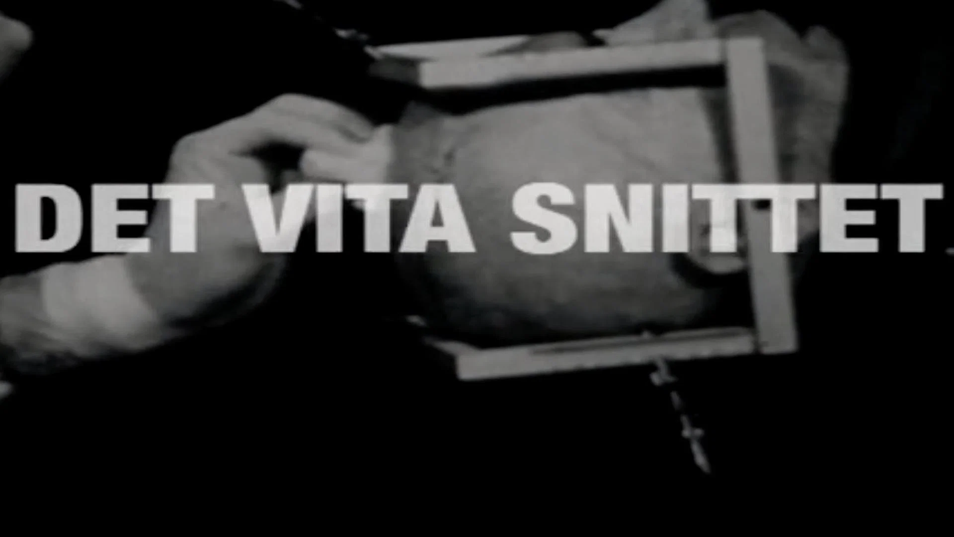 Det vita snittet