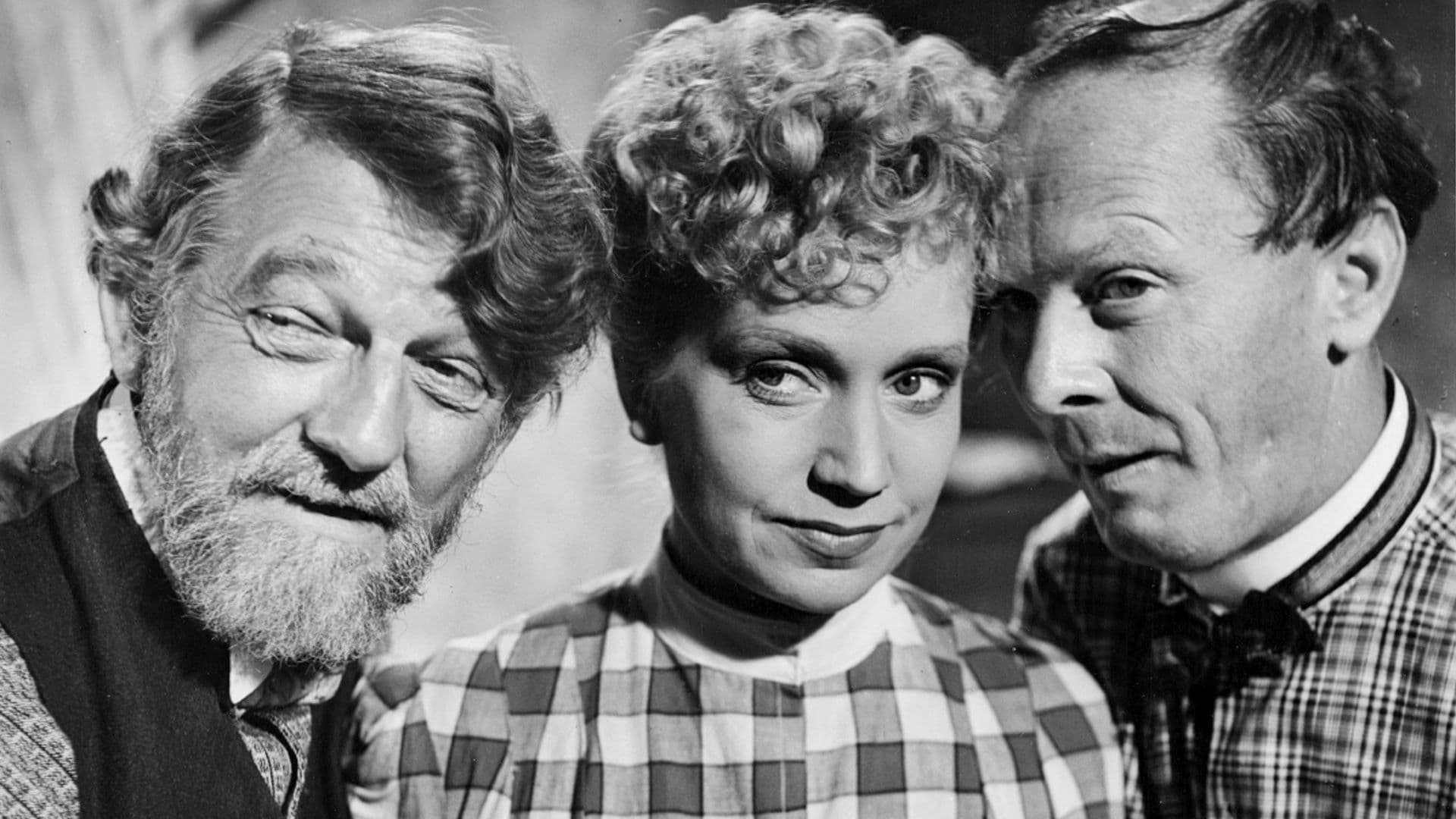 The Bachelor Brothers’ Housekeeper