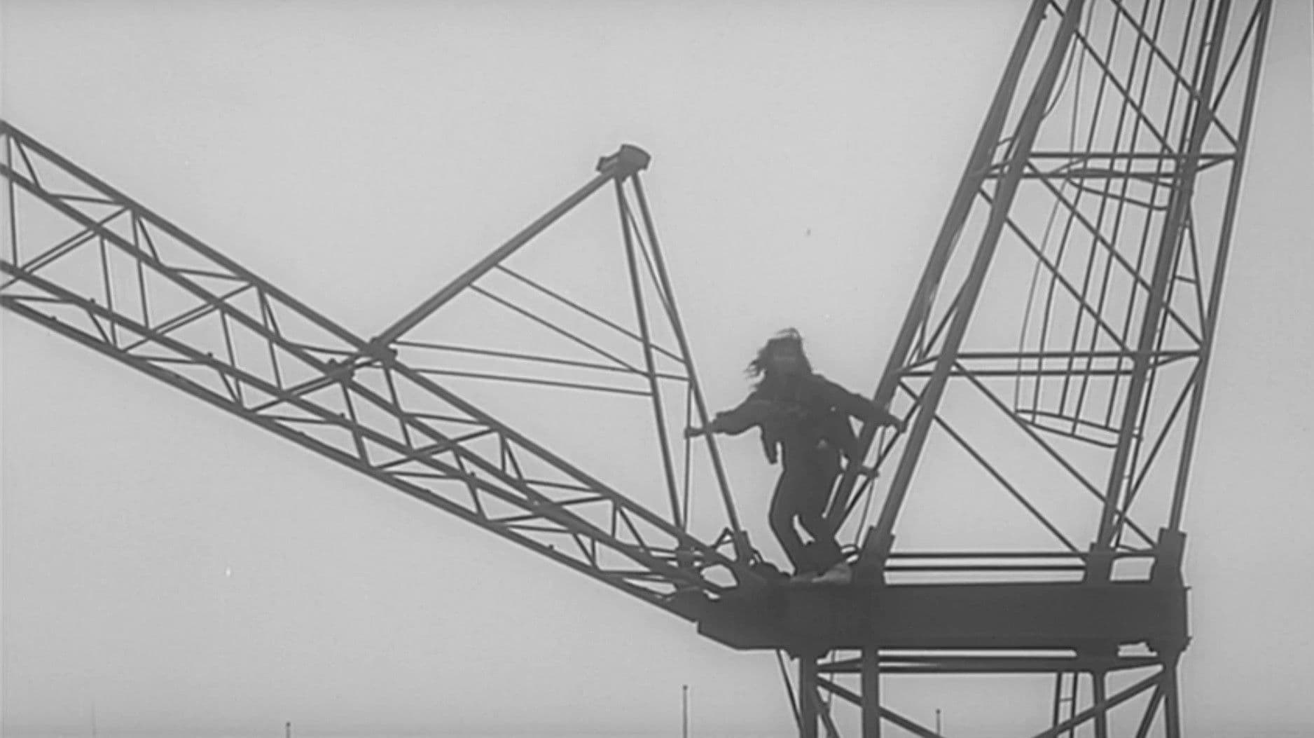 From the Reports of Security Guards & Patrol Services No.1