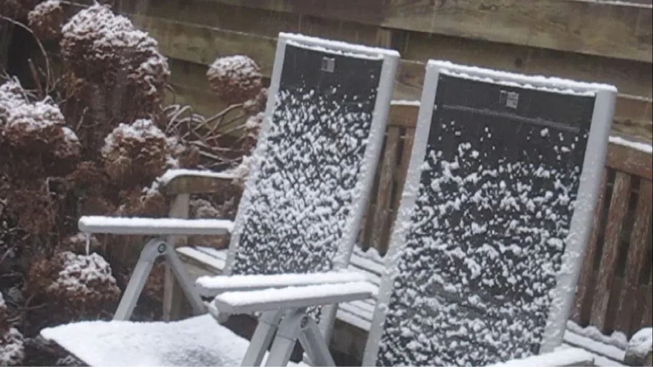 Winter Video