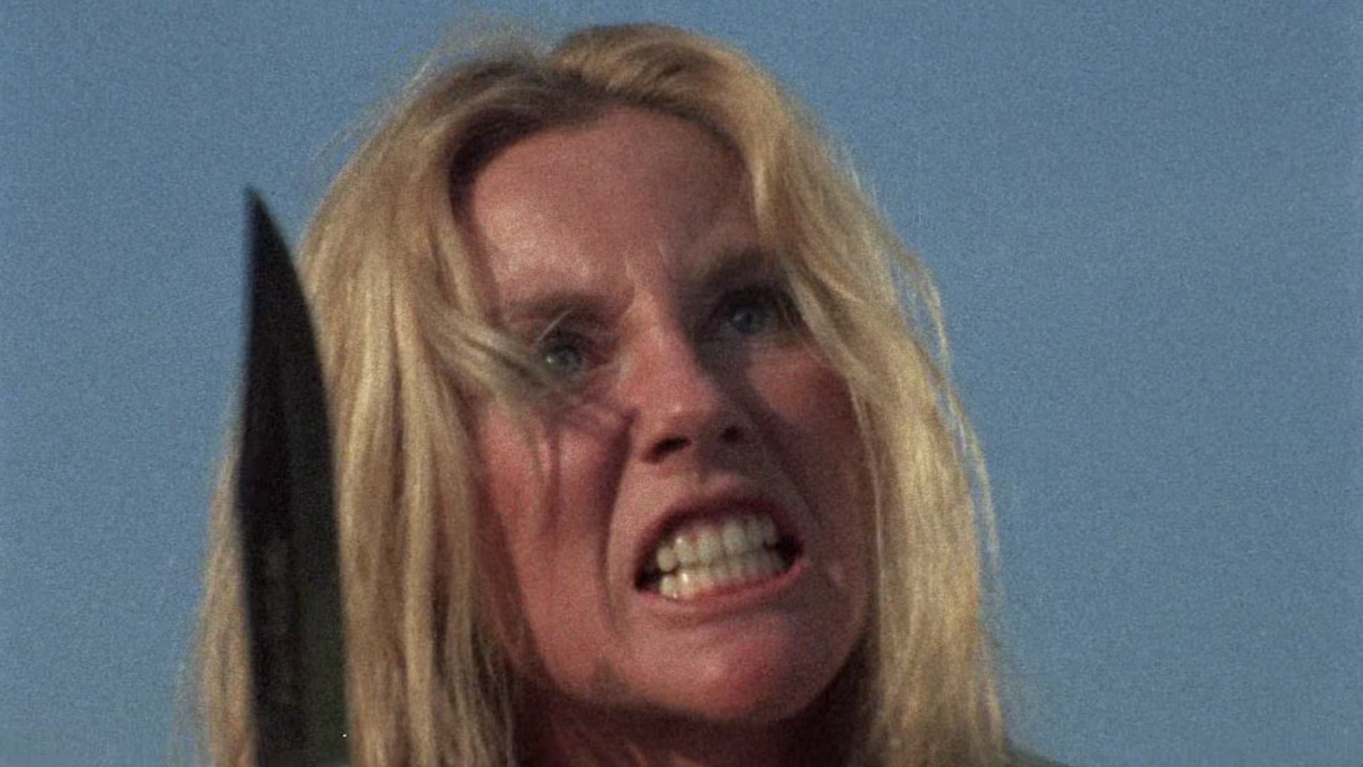 The Centerfold Girls