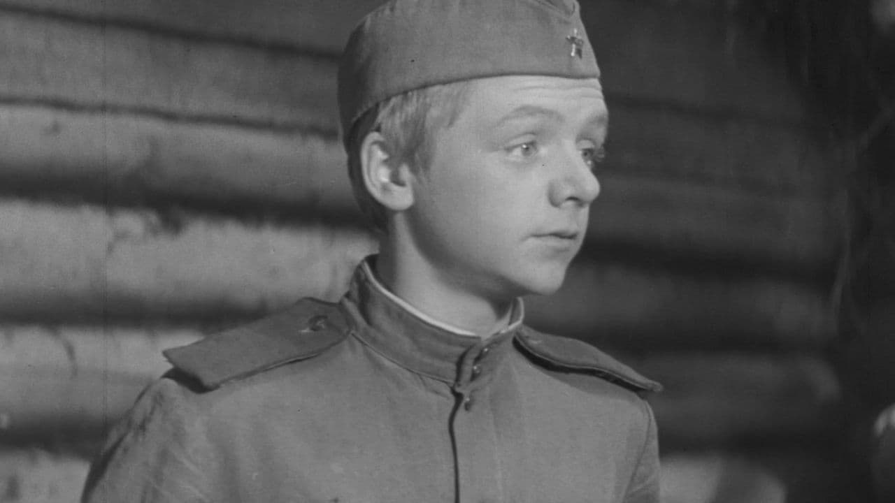 Fit for Non-Combatant