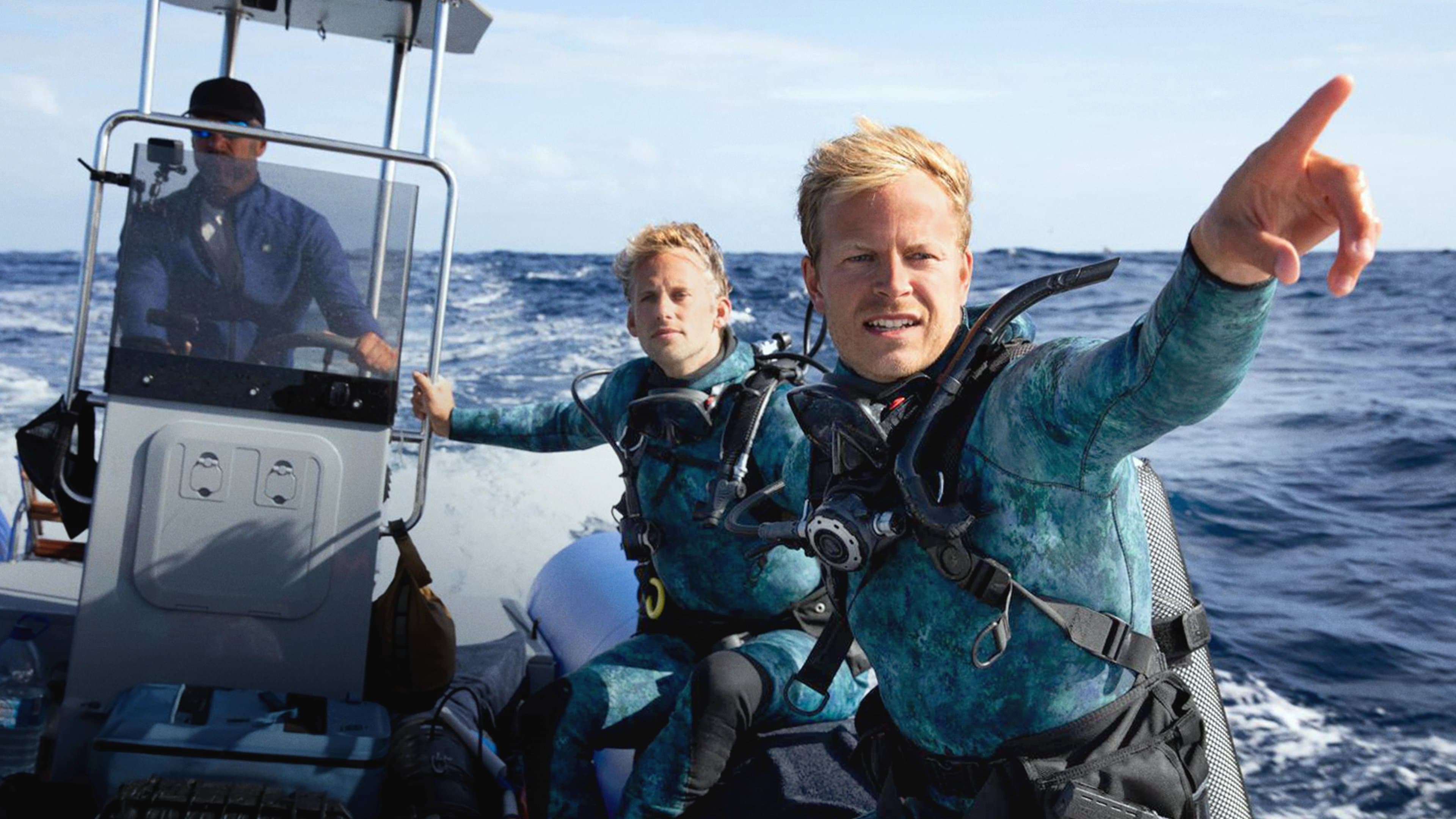 Dolphins Up Close with Bertie Gregory