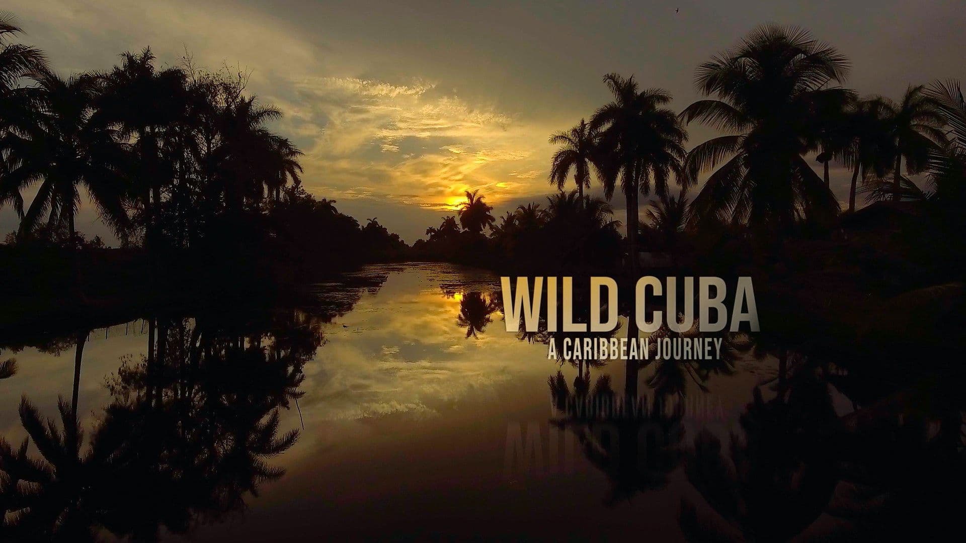 Wild Cuba: A Caribbean Journey