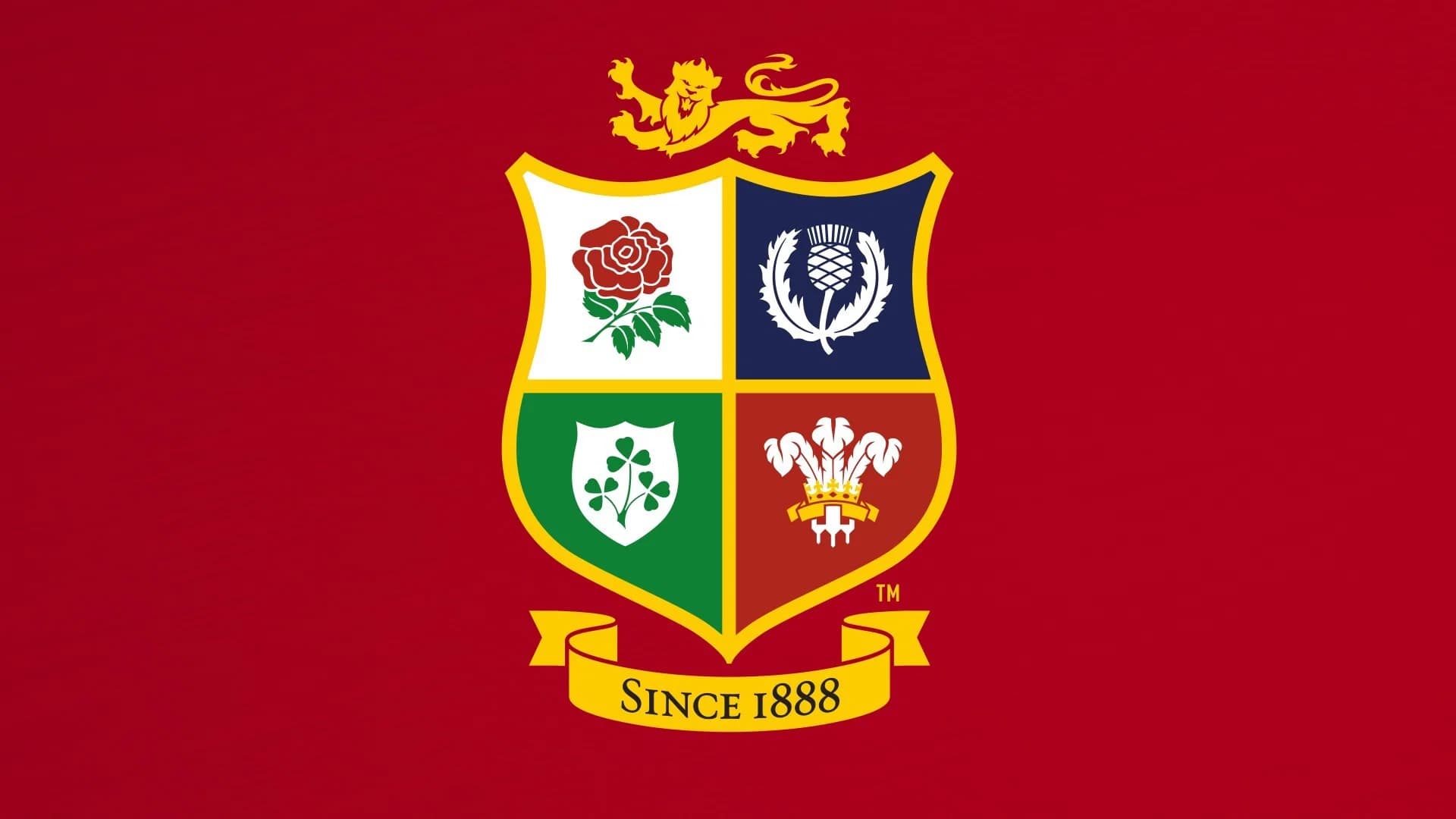The British & Irish Lions 2013: Lions Raw