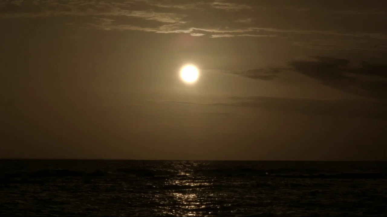 The Sea is History