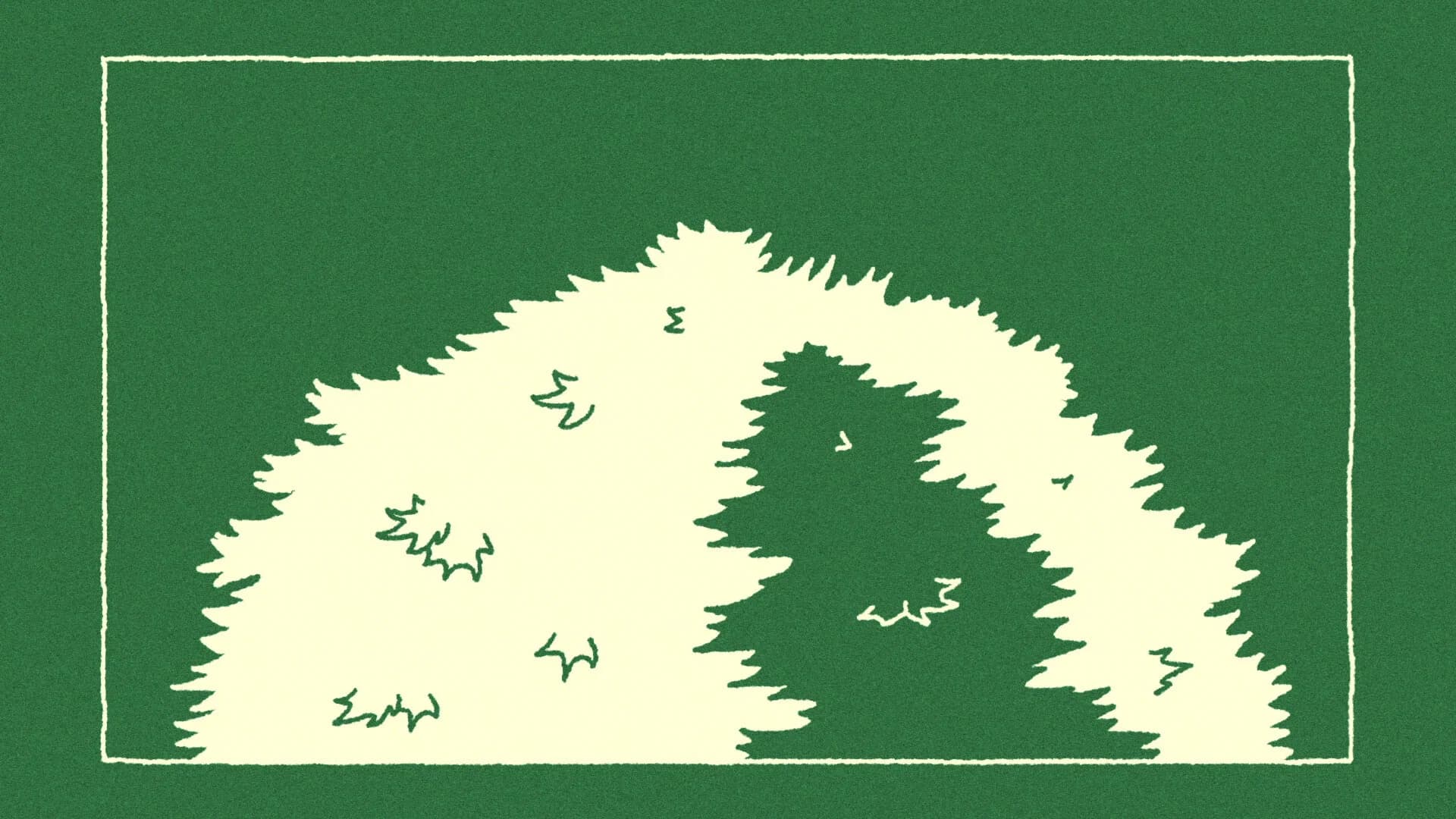 The Sycamore