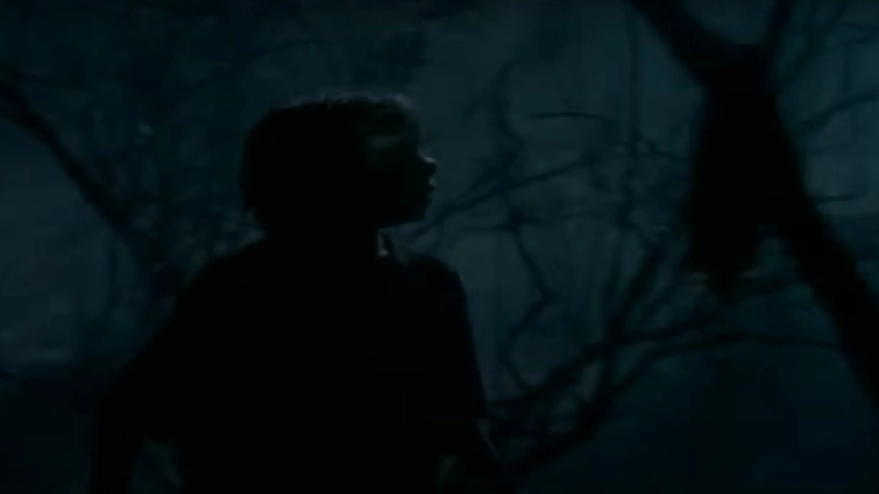 Goosebumps: The Werewolf of Fever Swamp