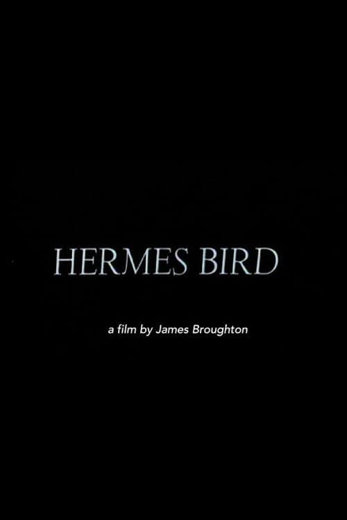 Hermes Bird