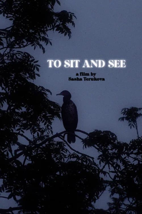 To Sit and See
