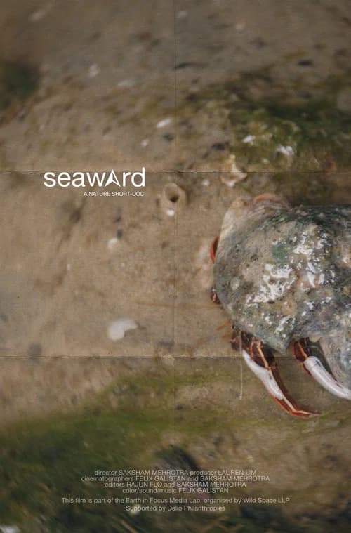seaward