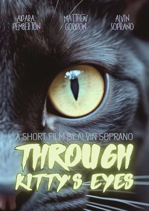 Through Kitty’s Eyes