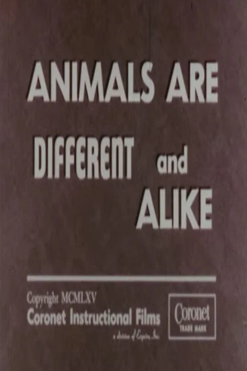 Animals Are Different and Alike