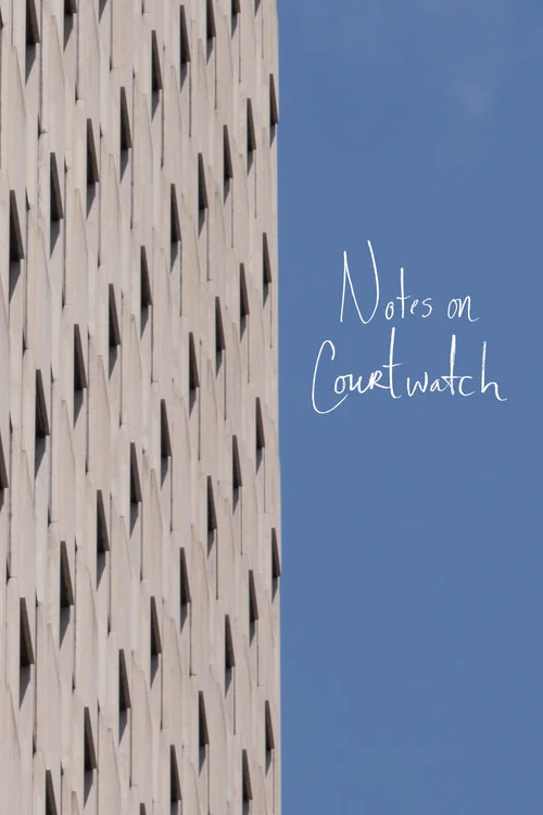 Notes on Courtwatch
