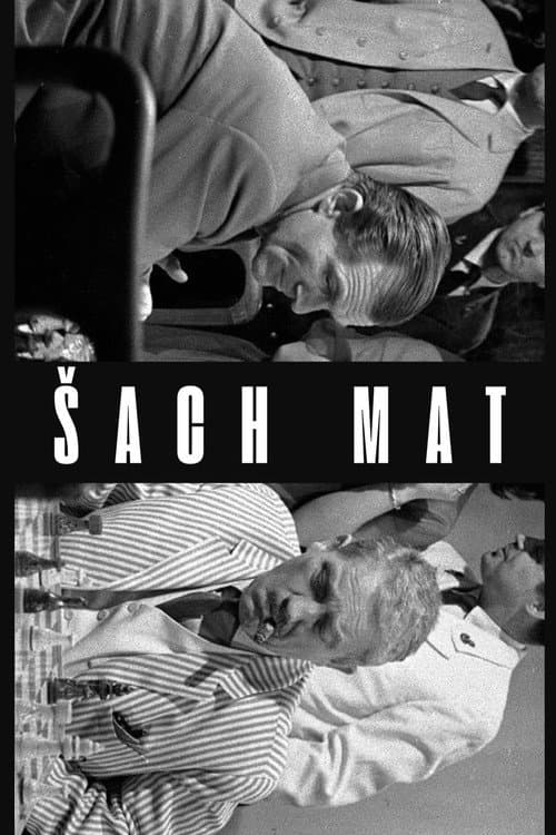 Ĺ ach mat