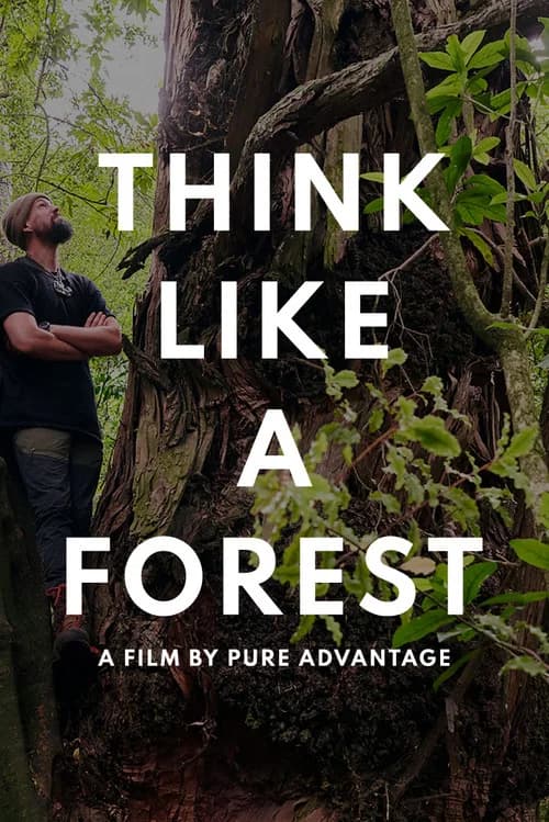 Think Like a Forest