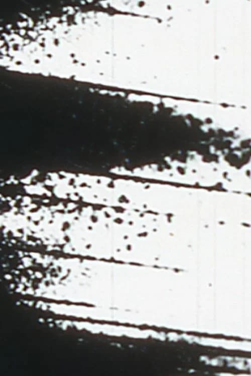 Starlings