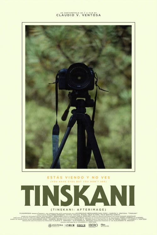 Tinskani: Afterimage