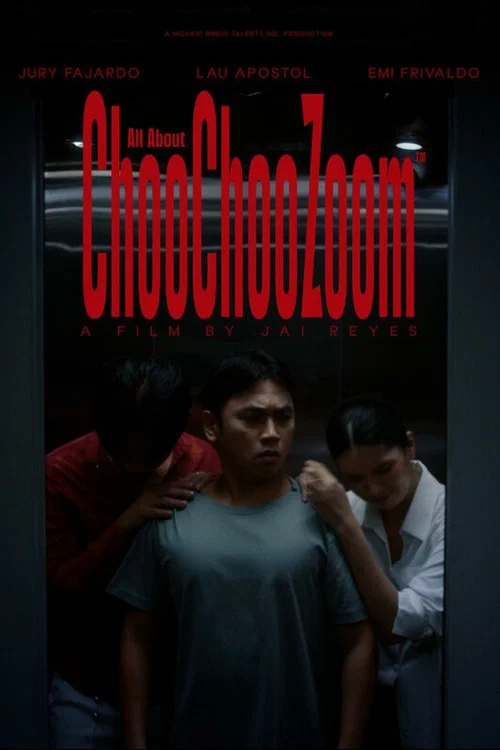 All About ChooChooZoom