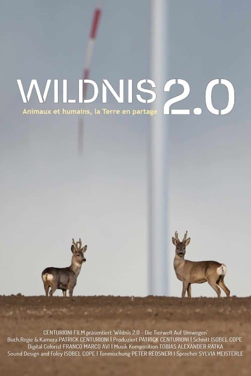 Wildnis 2.0 - Die Tierwelt auf Umwegen