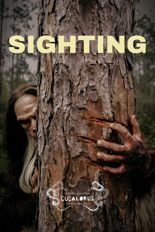 Sighting